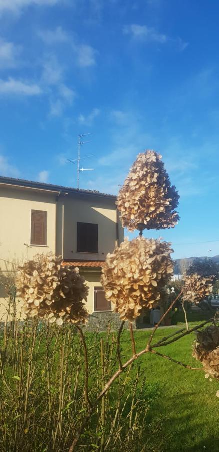 B&B La Damigiana Fioì Piano di Follo Esterno foto