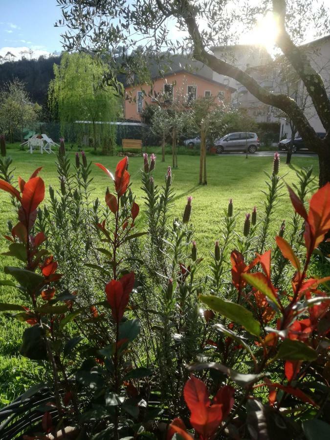 B&B La Damigiana Fioì Piano di Follo Esterno foto