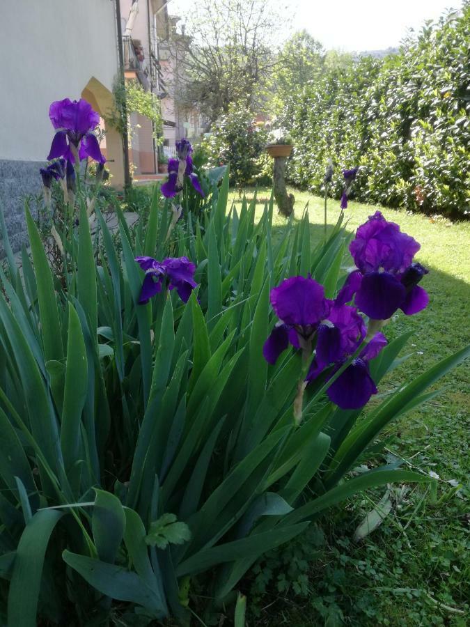 B&B La Damigiana Fioì Piano di Follo Esterno foto