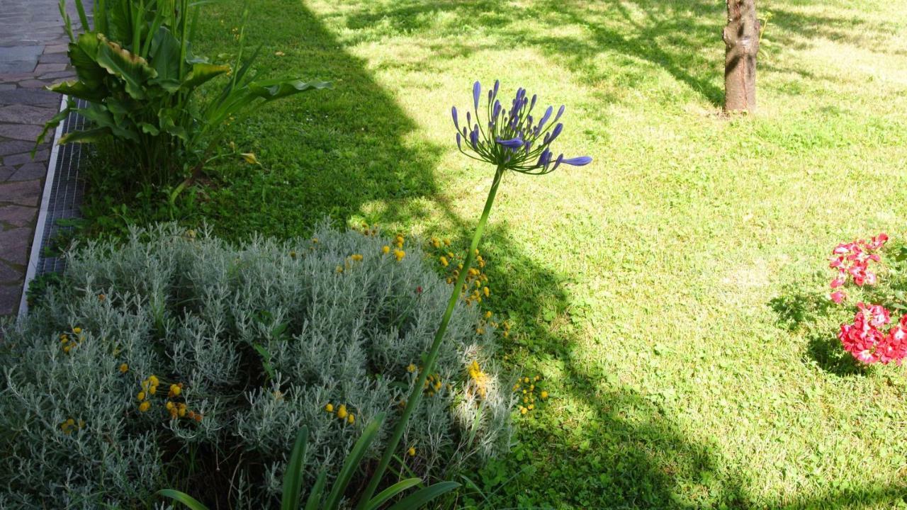 B&B La Damigiana Fioì Piano di Follo Esterno foto