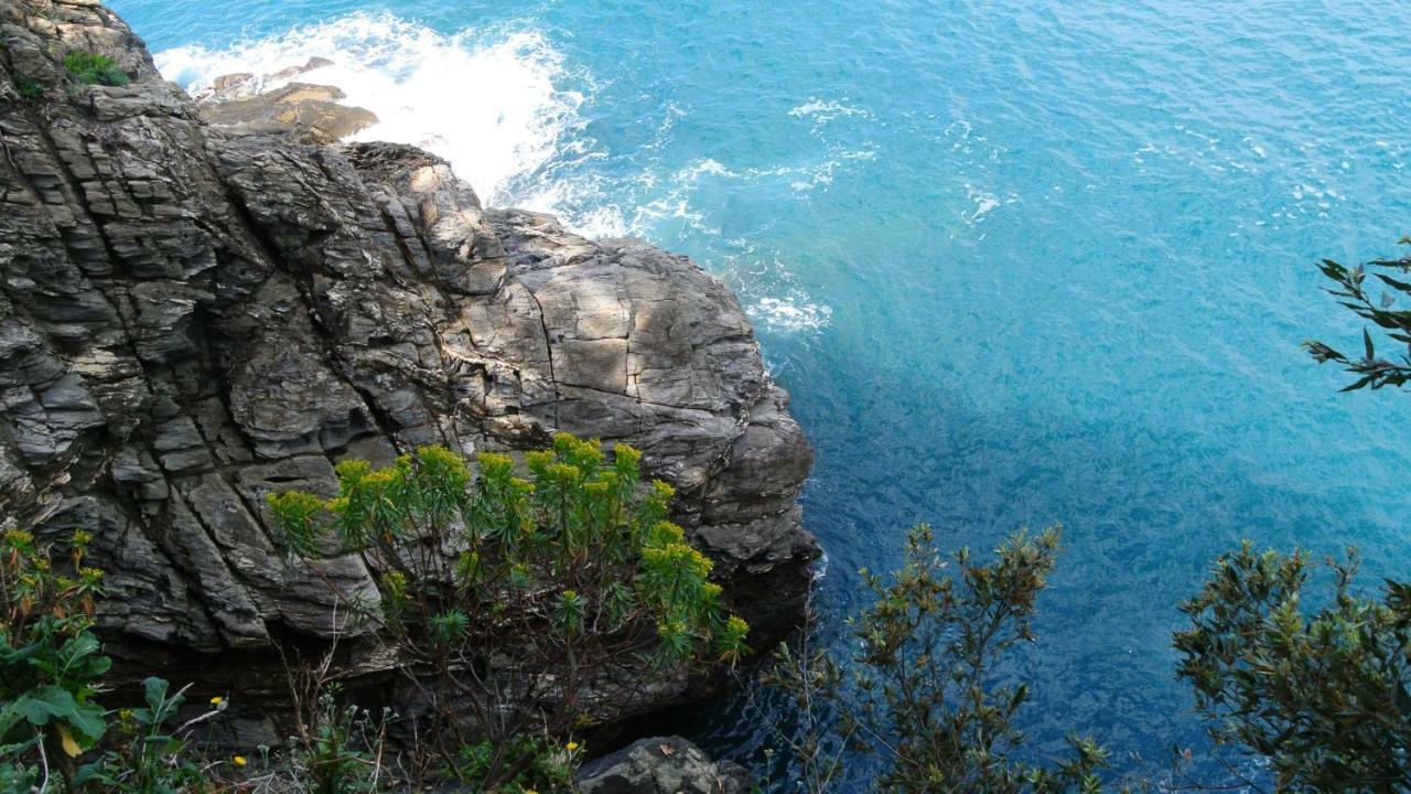 B&B La Damigiana Fioì Piano di Follo Esterno foto